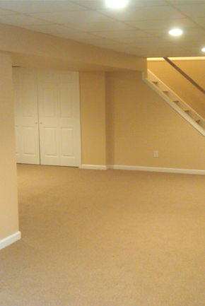 Basement Renovation